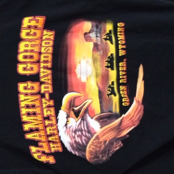 Harley-Davidson Black Short Sleeve Tee Men’s Large - Picture 3 of 7